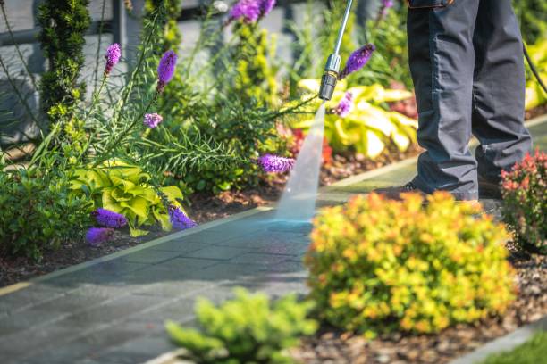 Best Driveway Pressure Washing  in Chowchilla, CA